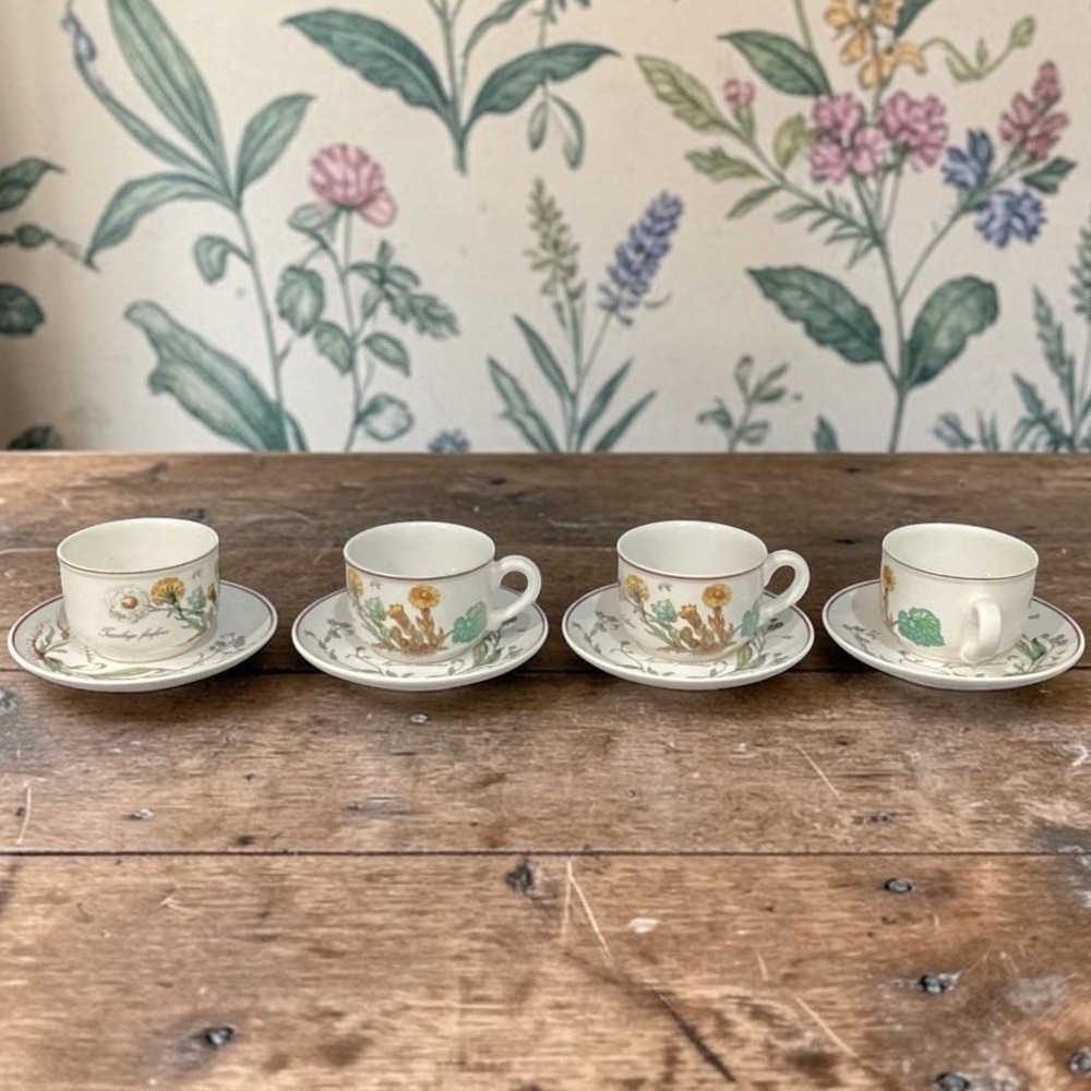 Villeroy &‎ Boch Botanica Teacup and Saucers, Set of 4, Vintage Botanical Design